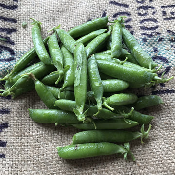 Elmridge - Shelling Peas (lb)